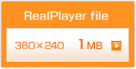 WAKE UP RealPlayer file1MB